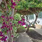 Holiday home Sa Domixedda *