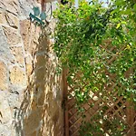 Holiday home Sa Domixedda