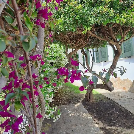 Holiday home Sa Domixedda *