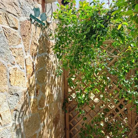 بيت للعطل Sa Domixedda