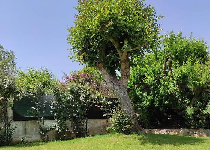 Sa Domixedda Holiday home *