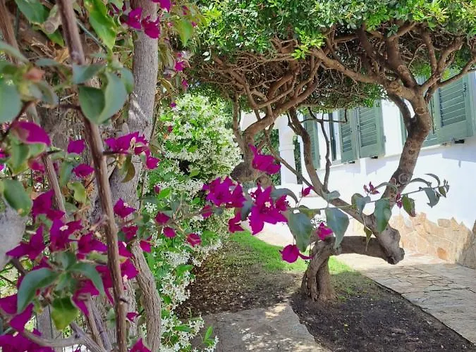 Casa de Férias Sa Domixedda *